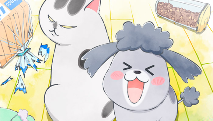 With a Dog AND a Cat, Every Day is Fun