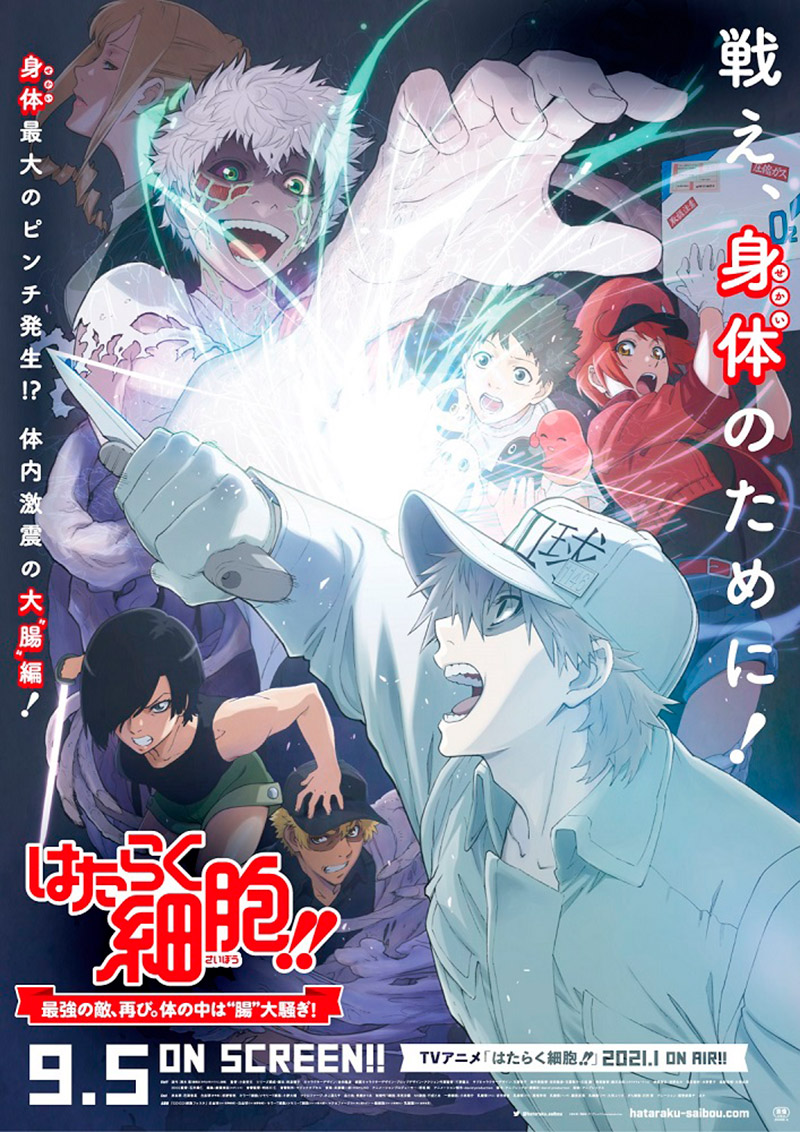 Cells at Work! - Especial ganha trailer e chega em setembro!