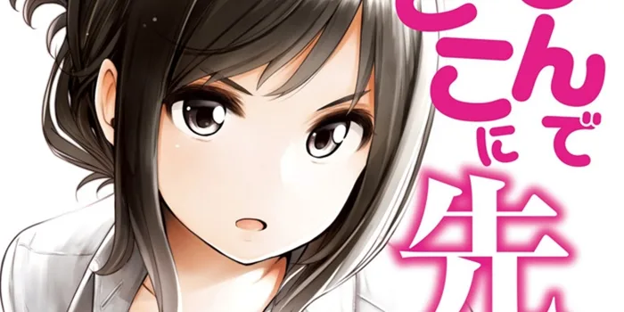 Mangá Nande Koko ni Sensei ga!? entra em hiato