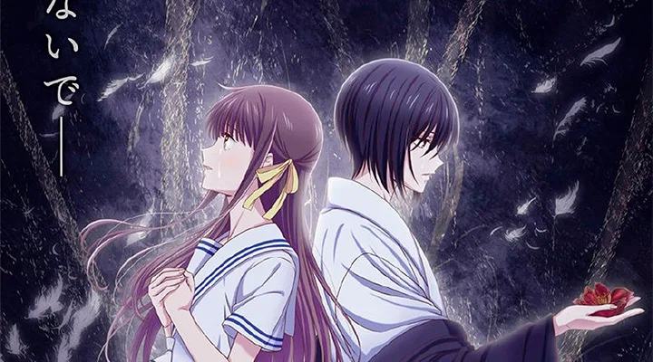 Fruits Basket