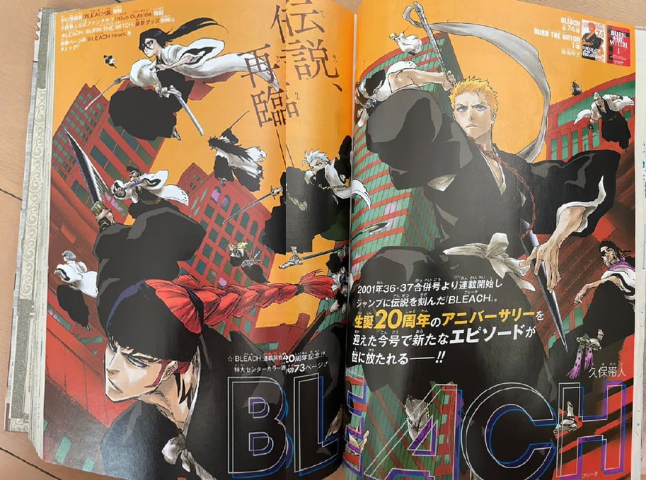 Bleach