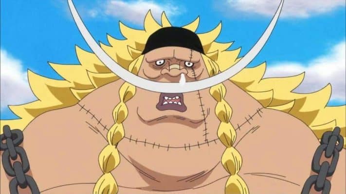 Weevil - One Piece