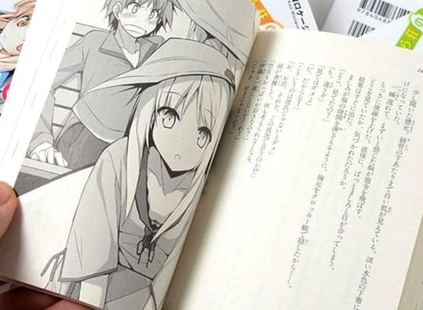 Leitura Light Novels