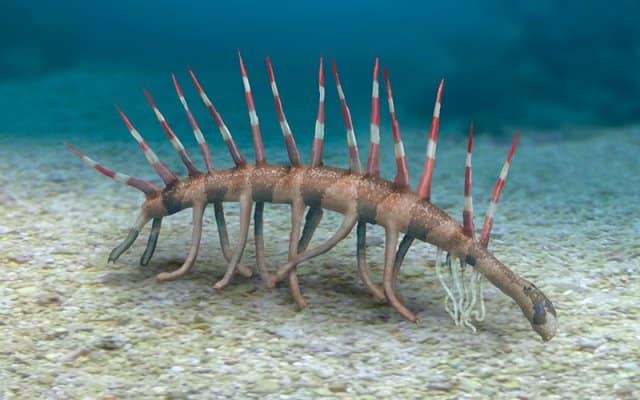 Hallucigenia