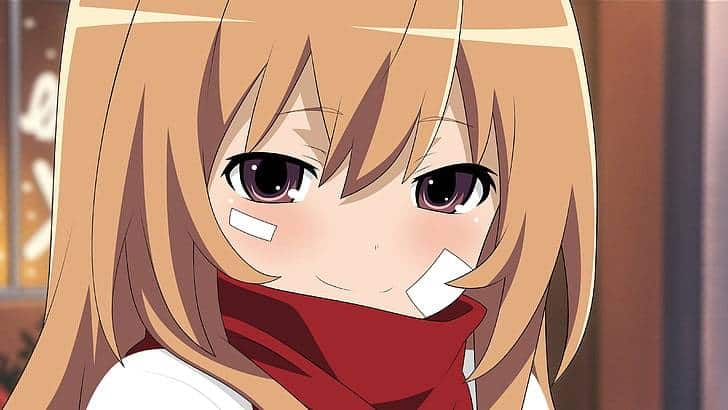 TAIGA Toradora