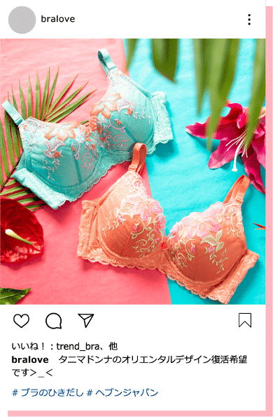 Japão lança novo banco de imagens de sutiãs2
