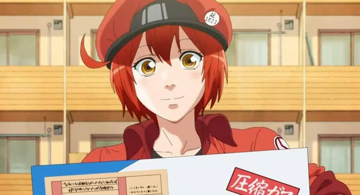Cells at Work