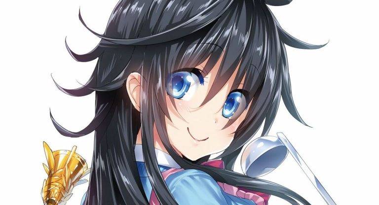 Netoge no Yome wa Onna – Light novel terminará em breve