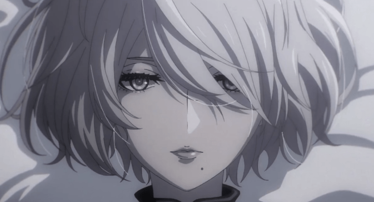 NieR