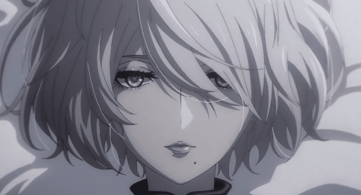 NieR