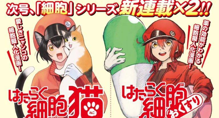 Cells