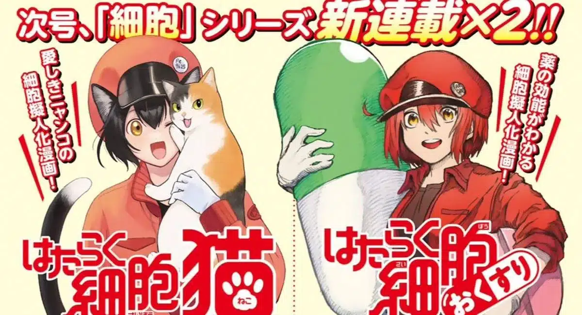 Cells