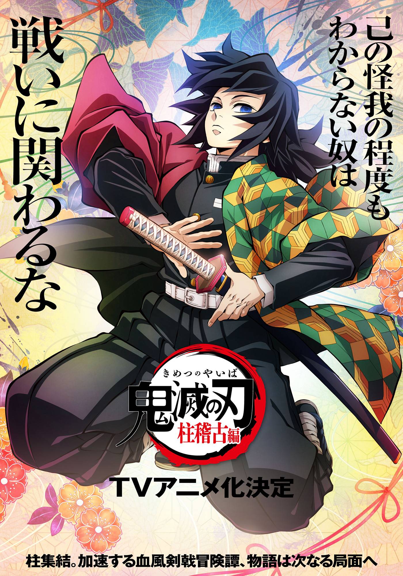 Demon Slayer: Kimetsu no Yaiba Hashira Training Arc TV