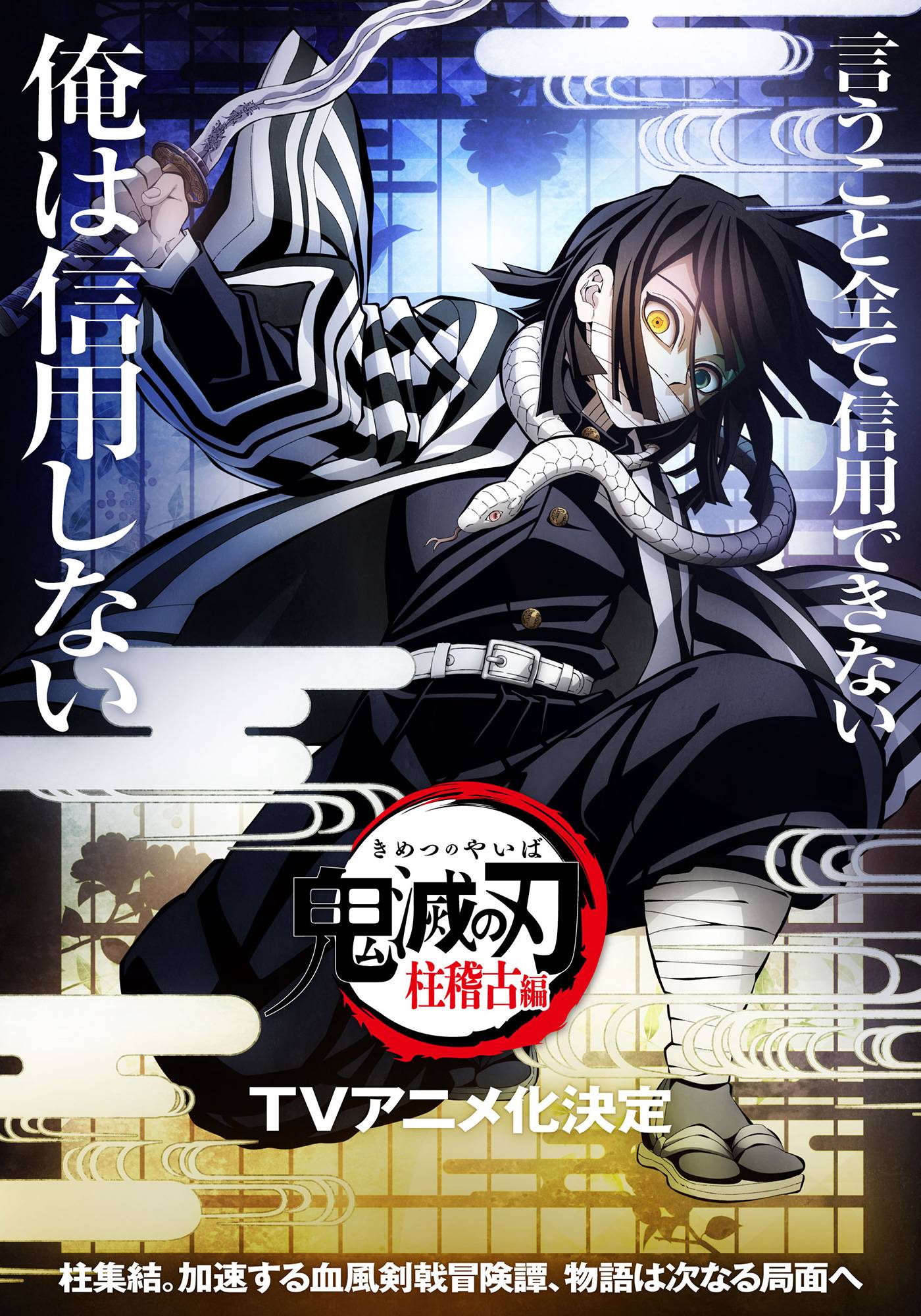 Demon Slayer: Kimetsu no Yaiba Hashira Training Arc TV