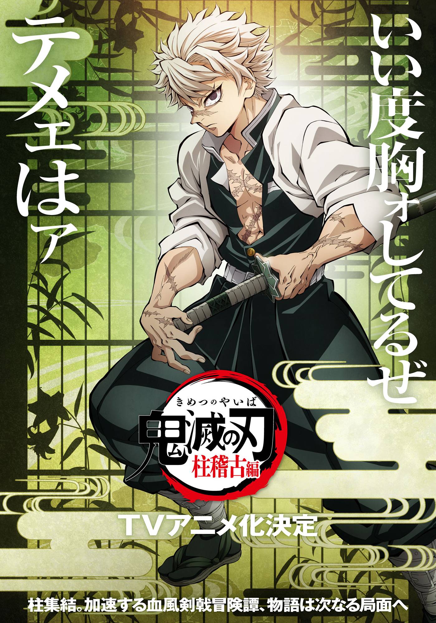 Demon Slayer: Kimetsu no Yaiba Hashira Training Arc TV