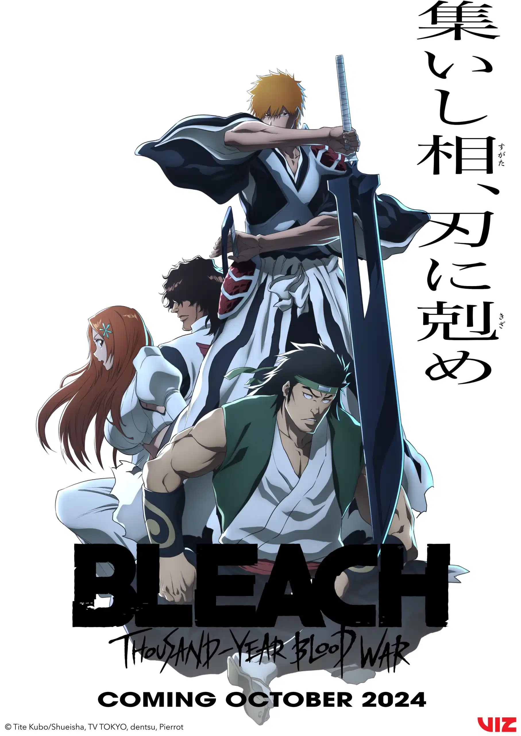 Bleach Anime