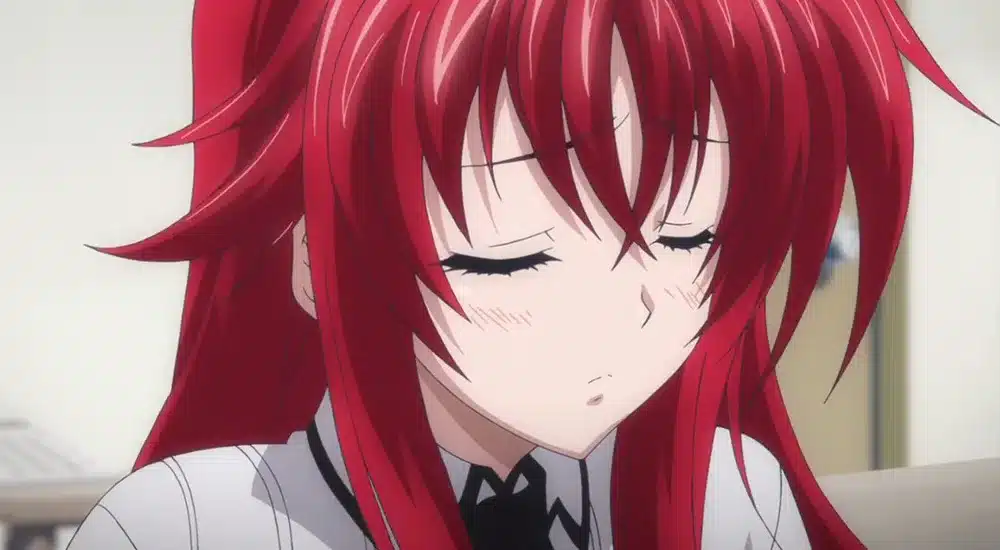 Rias Gremory High School DxD