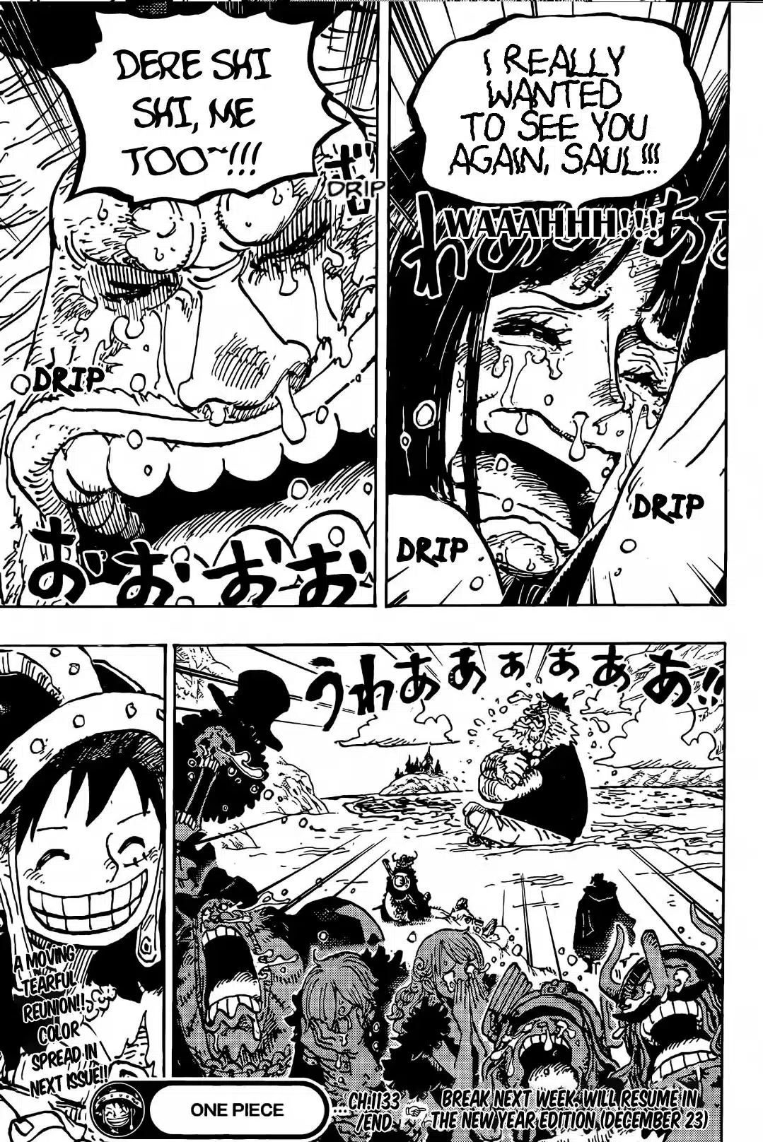 One Piece 1133