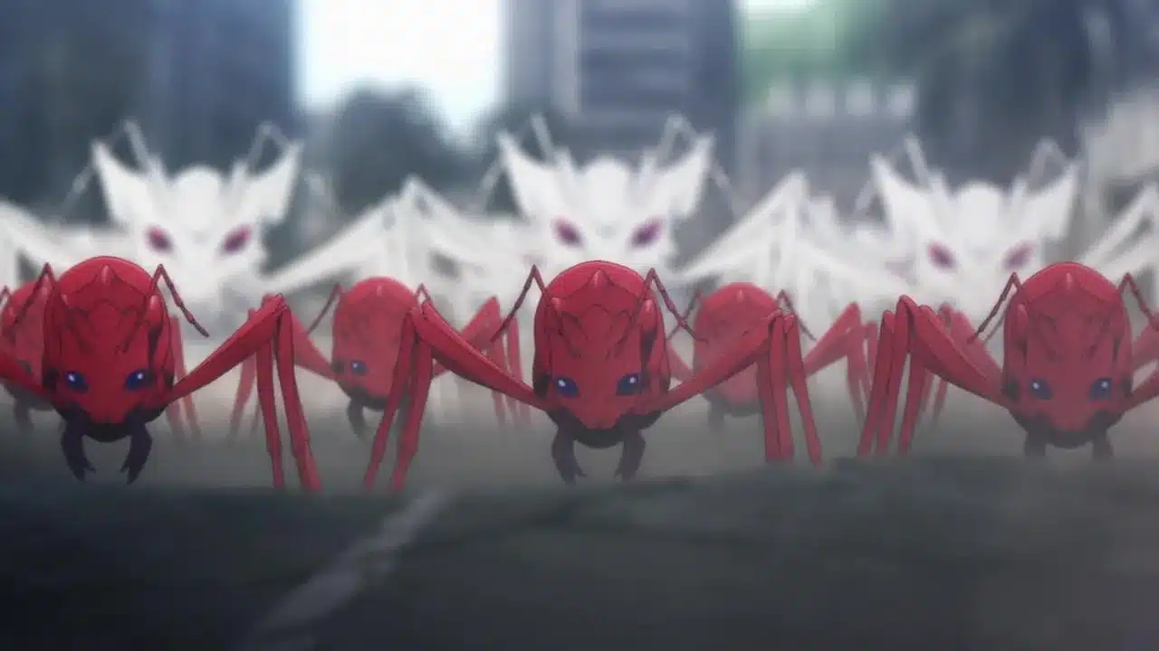 Anime - SL