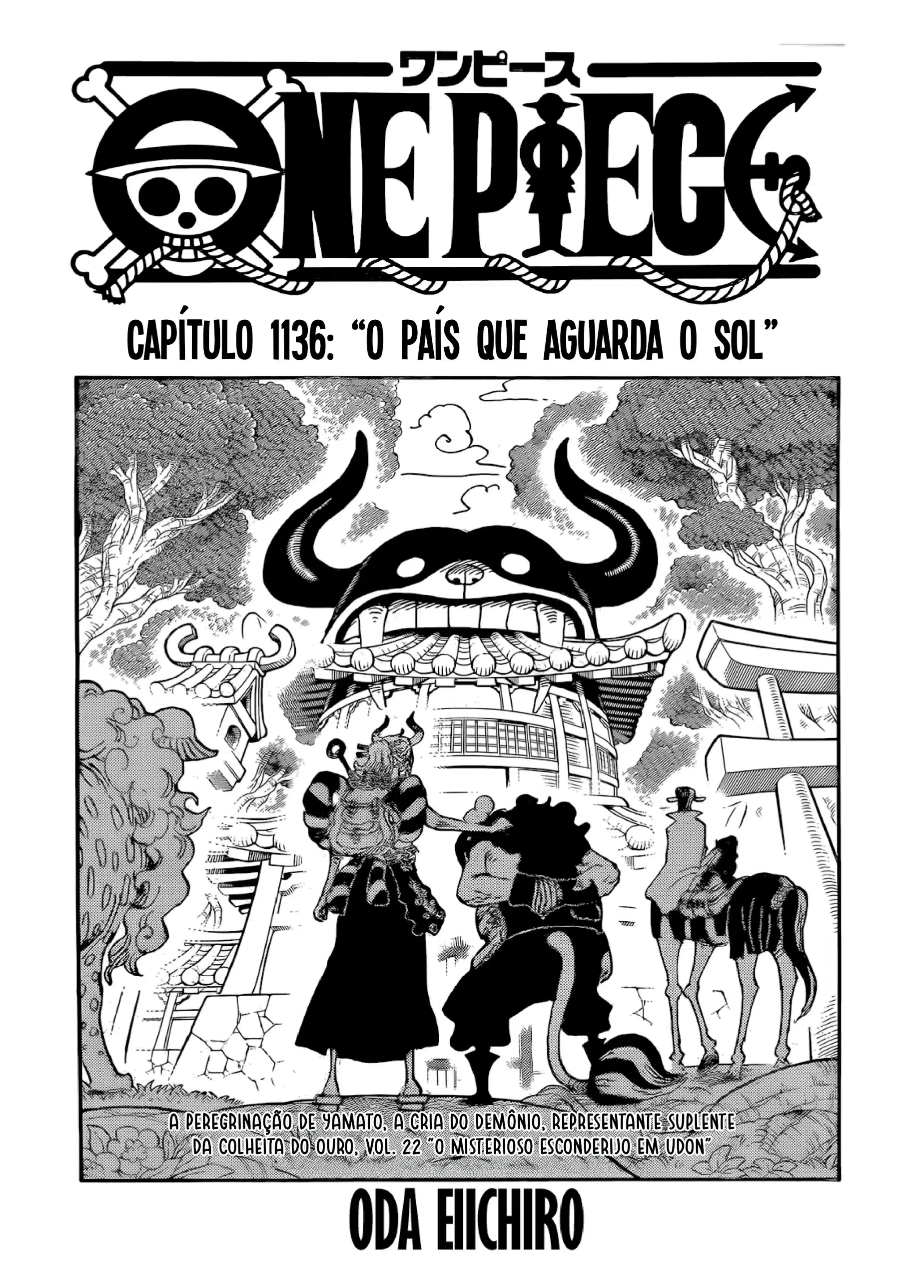 One Piece 1136-001.jpg
