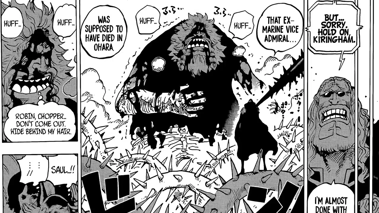 1146 One Piece