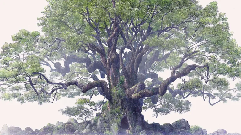 The Keeper of the Camphor Tree