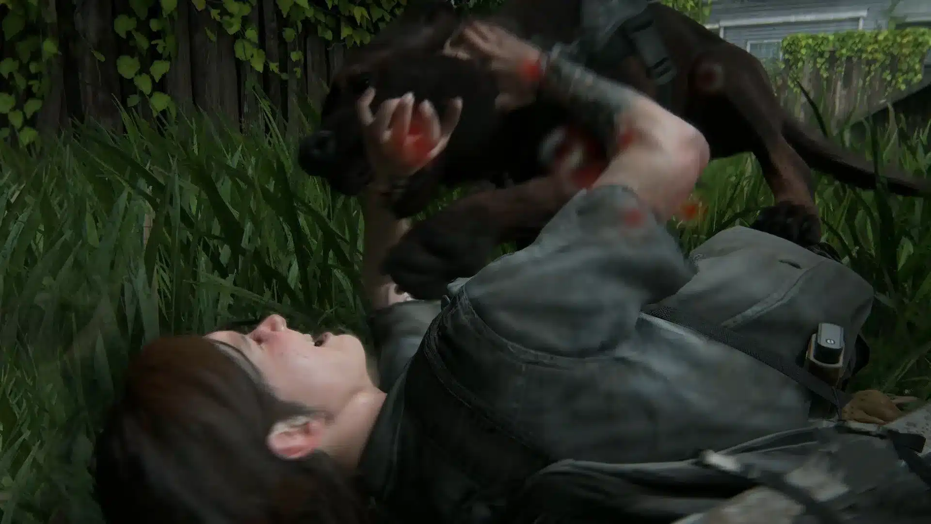 the last of us 2 cães