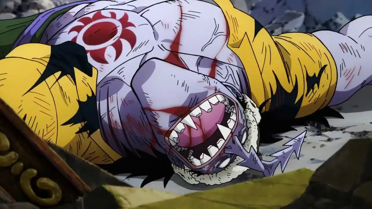 Anime - One Piece